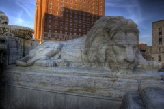 buffalo-city-hall-lions-hdr_3111257791_o